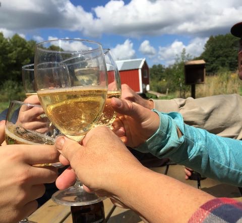 Minnesota Craft Cider Festival
